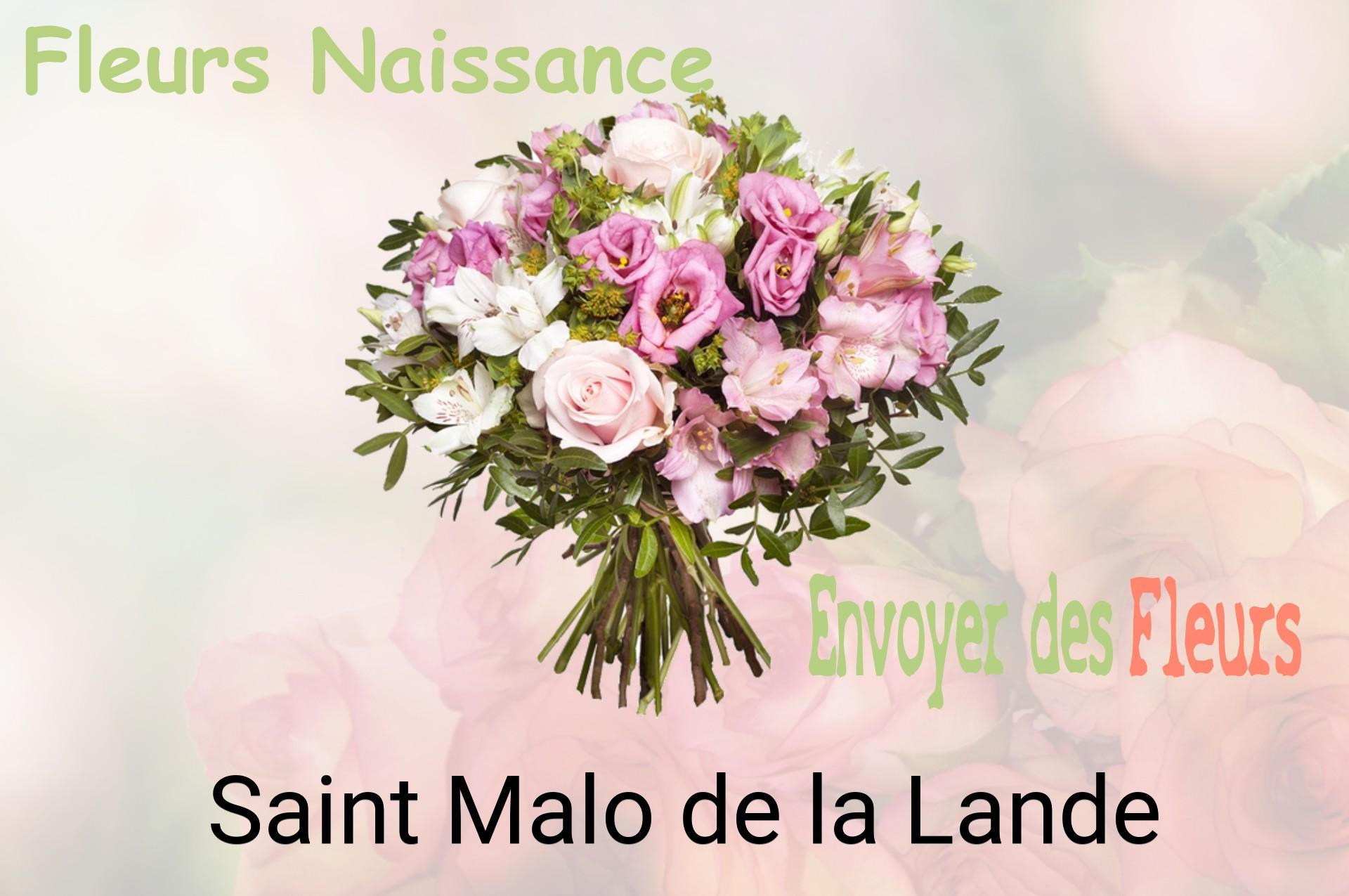 Bouquet de fleurs de naissance livré à Saint-Malo-de-la-Lande